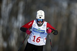 41